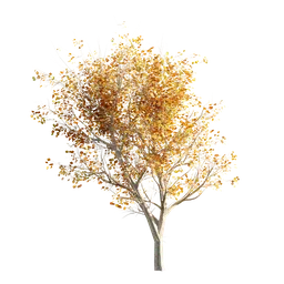 Autumnal 3D tree model with detailed foliage for Blender, suitable for digital landscape design.
