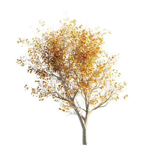 Thumbnail: Tree LOD 1 Autumn