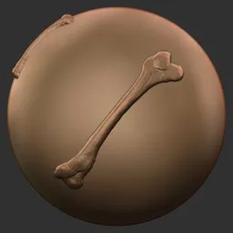 Femur Bone