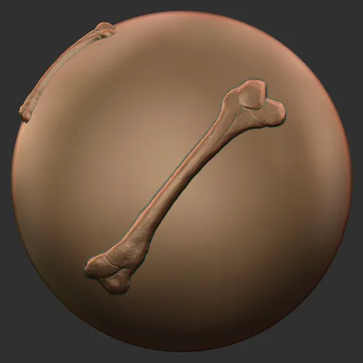 Femur Bone