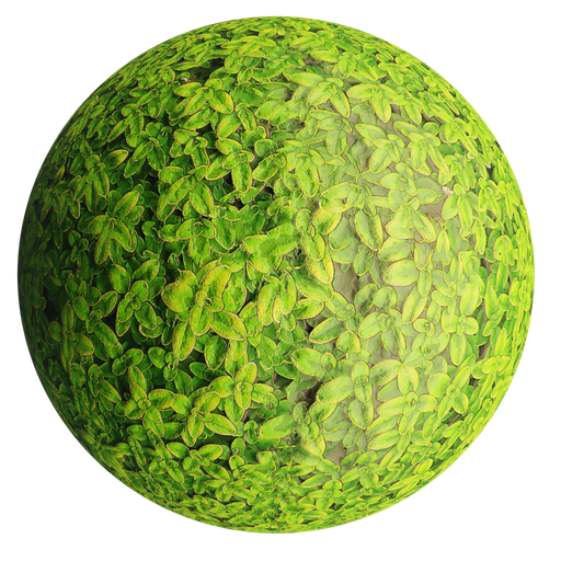 Thumbnail: Ivy Stylized