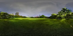 Green grass at night