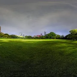 Green grass at night