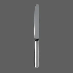 Dinner Knife