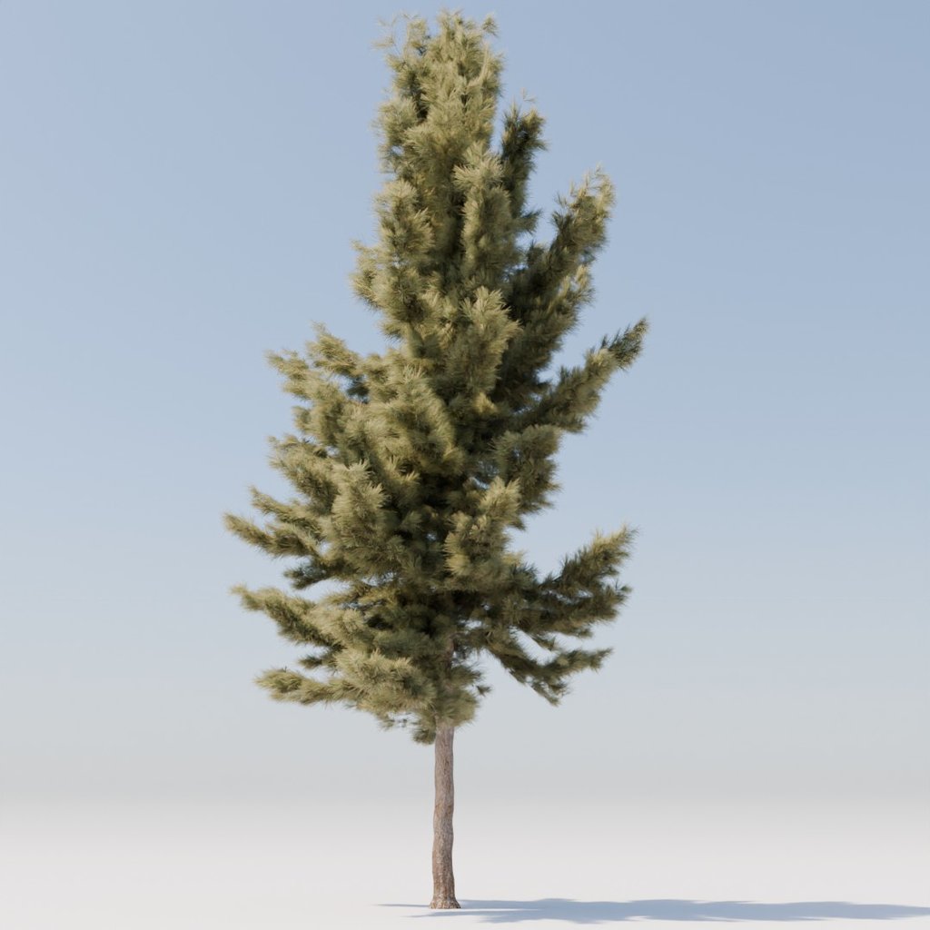 Tree 44 DOUGLAS FIR | Trees models | Blendkit