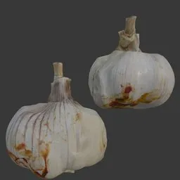 Garlic scan