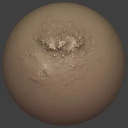 ER_Rock Brush  Brush Tear