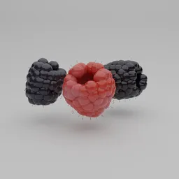 "High-quality 3D model of raspberries on a white surface for Blender 3D software. This fruit and vegetable category model features a realistic rendering with Octane Render, Ferrofluids, and a simple primitive tube shape. Inspired by Jenő Barcsay, the model is optimized with Vertex Groups for easy splitting."