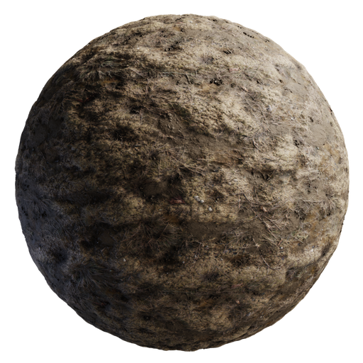 Dirt 01