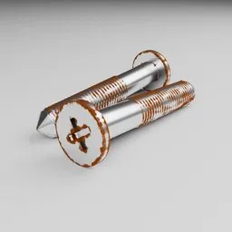 Realistic Blender 3D model of two aged metal screws with intricate rust detailing, perfect for mechanical simulations.