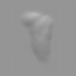 ER_Muscle brush 99 sculpting tool imprint for realistic back musculature in 3D modeling on Blender.