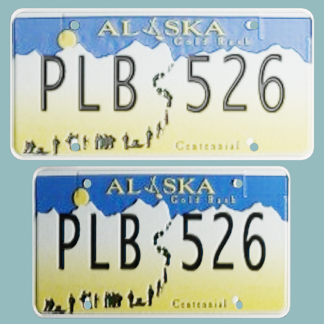 Alaska Licence plate PL | FREE Vehicle Parts models | BlenderKit