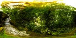 Spherical HDRI panorama of serene woodland waterway with sunlight piercing through lush foliage, ideal for realistic scene lighting.