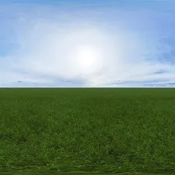 Green grass cloudy blue sky pure sky