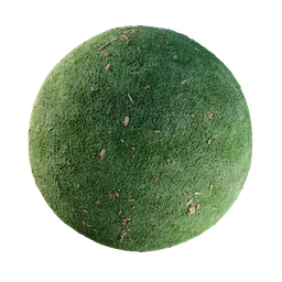 Green grass with leafes