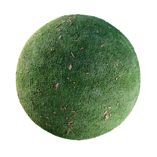 PBR realistic green grass texture with scattered brown leaves for 3D Blender material.