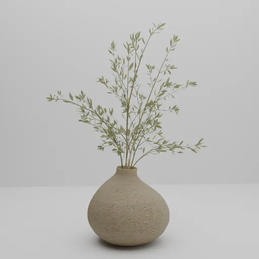 Olive Branches