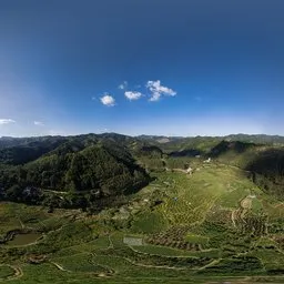 Sunny mountain forest