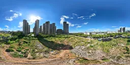 Highsky grass old building cloud