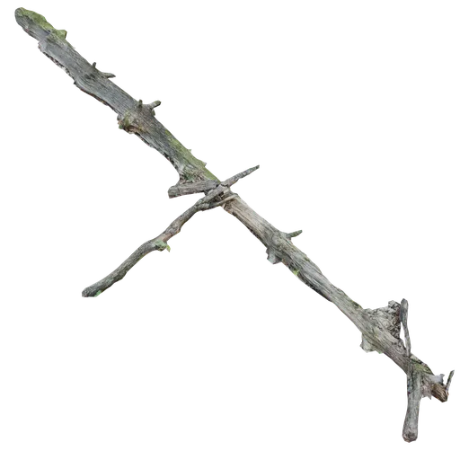 Fallen 3D Scanned tree 5.5m long