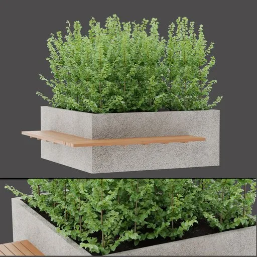 Minimal Shrub Planter