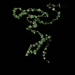 Climbing Vine - Leaf 12