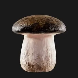 "Dark-hatted forest mushroom 3D model for Blender 3D - photorealistic with detailed face and untextured look. Created using photogrammetry techniques and suitable for use in RPG games as an in-game item or as a Twitch emote."