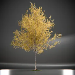 Tree Princeton Sentry Animated