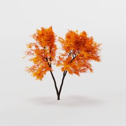 Golden maple tree v3