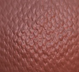 Detailed dragon scale pattern for 3D sculpting in Blender, enhancing realistic creature model textures.