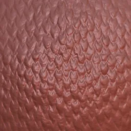 Dragon Skin