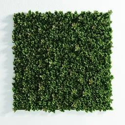 "3D model of an artificial Photinia wall panel in Blender, featuring a grid arrangement with resin coating and soft bushes. Ideal for eco-friendly and high-quality render projects. Customizable shape and dimensions in EDIT MODE."