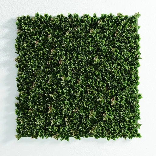 Realistic 3D model of a lush green photinia wall panel, customizable in Blender, with performance-optimized viewport proxies.