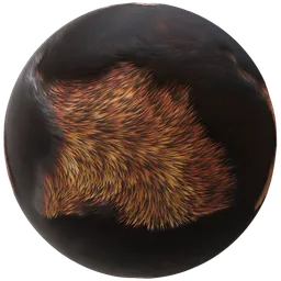 Short Auburn Fur