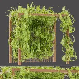 Wooden Pergola with Vines