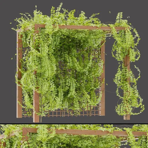Wooden Pergola with Vines