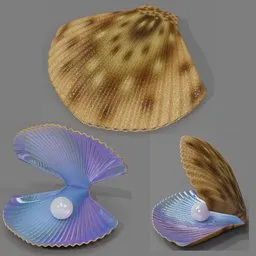 Realistic 3D model of a textured seashell with a glossy pearl, designed for elegance in Blender-rendered imagery.