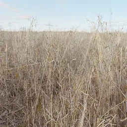 Realistic dry grass 3D model optimized for Blender, game-ready asset for virtual environments.