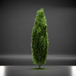 Tree Columnar European Animated