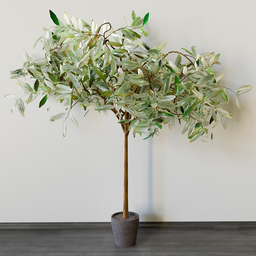 "High-quality indoor Ficus tree 3D model in concrete pot for Blender 3D. Large, decorative leaves inspired by Weiwei, well-rendered in Unreal. Perfect for nature-inspired and indoor decor projects."