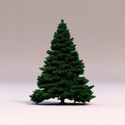 christmas tree - not decorated