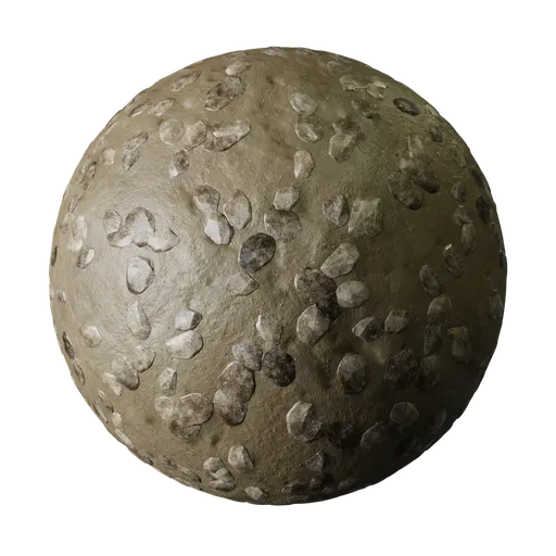 Rocky Mud Surface