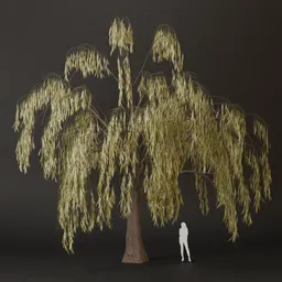 SJ-Willow Branch Kiss