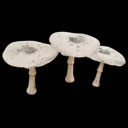 Mushroom