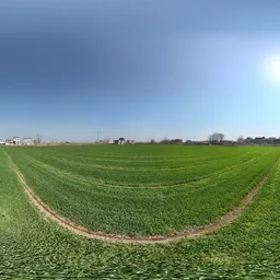 Green farmland sunshine