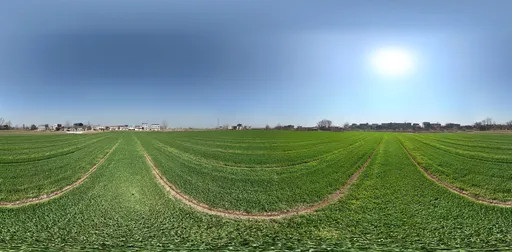 Green farmland sunshine