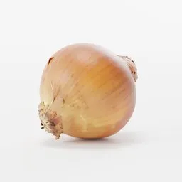 "3D scanned Onion 2 model with 4K textures for Blender 3D. Perfect for high-resolution rendering and game assets. White surface with a white background creates a clean, minimalist look."