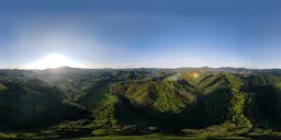 Green woods during the day