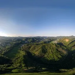 Green woods during the day