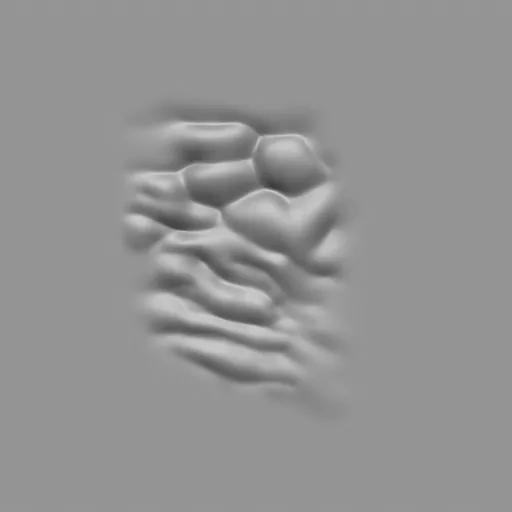 ER_Muscle brush 50